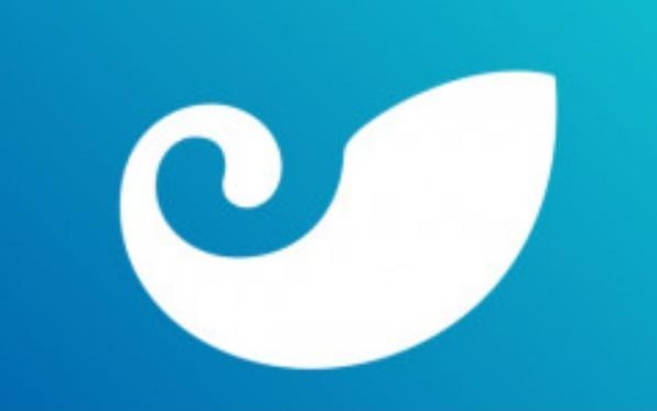 链有什么四字词语